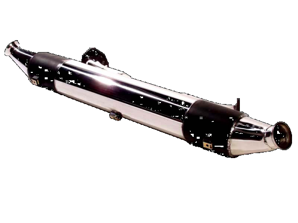Standard catalyst 300 cc - Bischoff